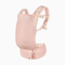 Thumbnail of Carnation