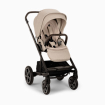 Thumbnail of Biscotti