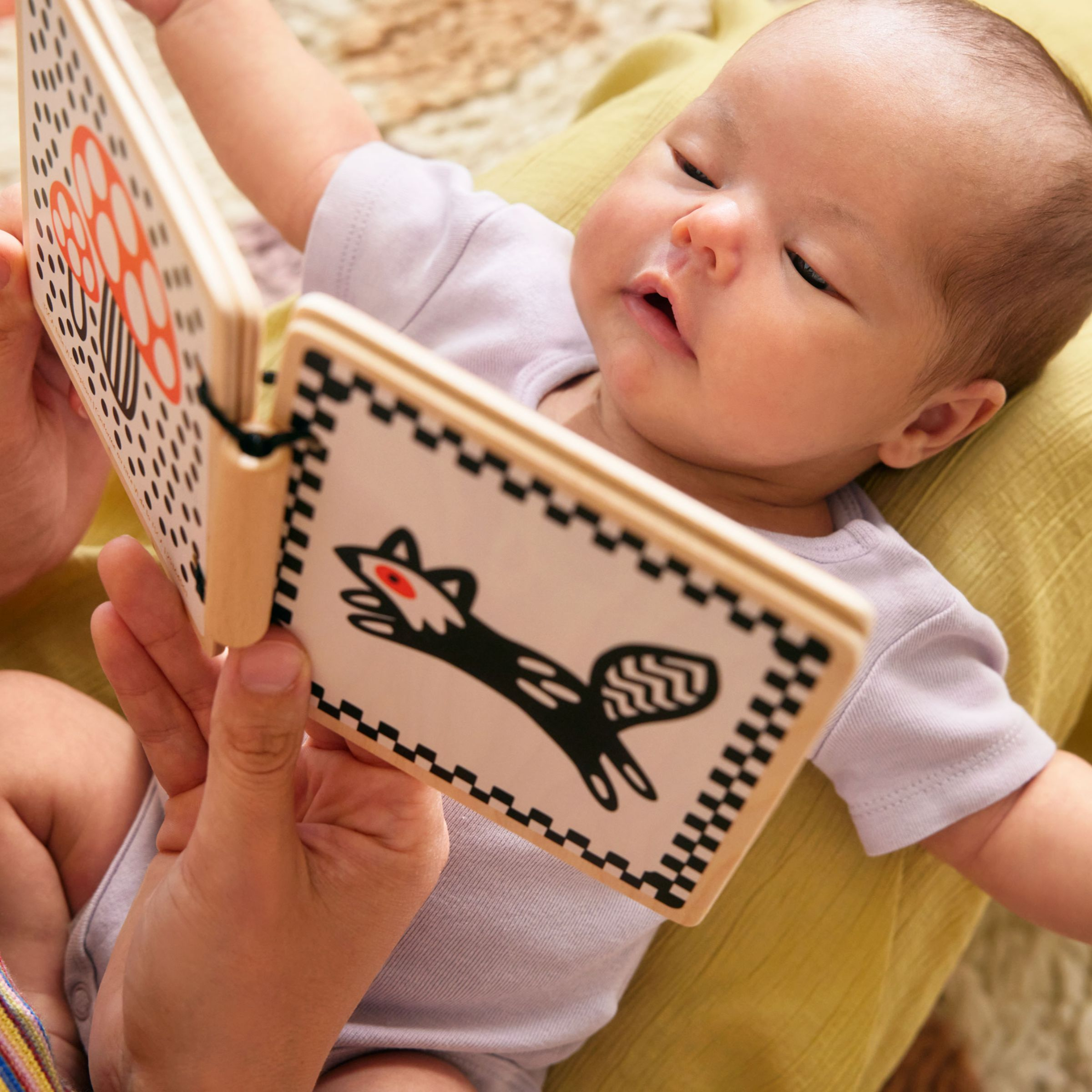 Lovevery Explore on the Floor Mini Kit.