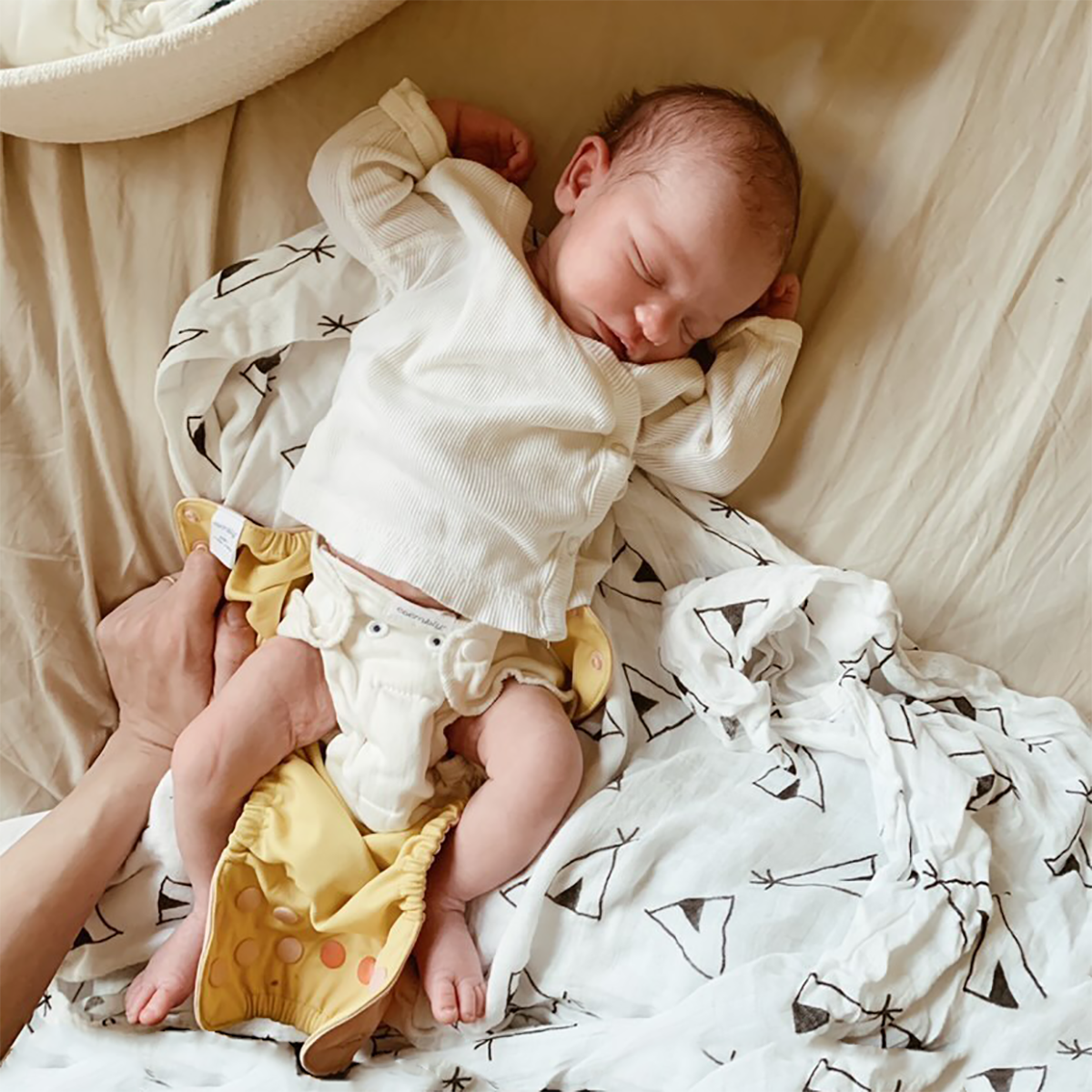 Esembly Blowout Proof Cloth Diaper Bundle - Elephants, Size 2 (18-35lbs).