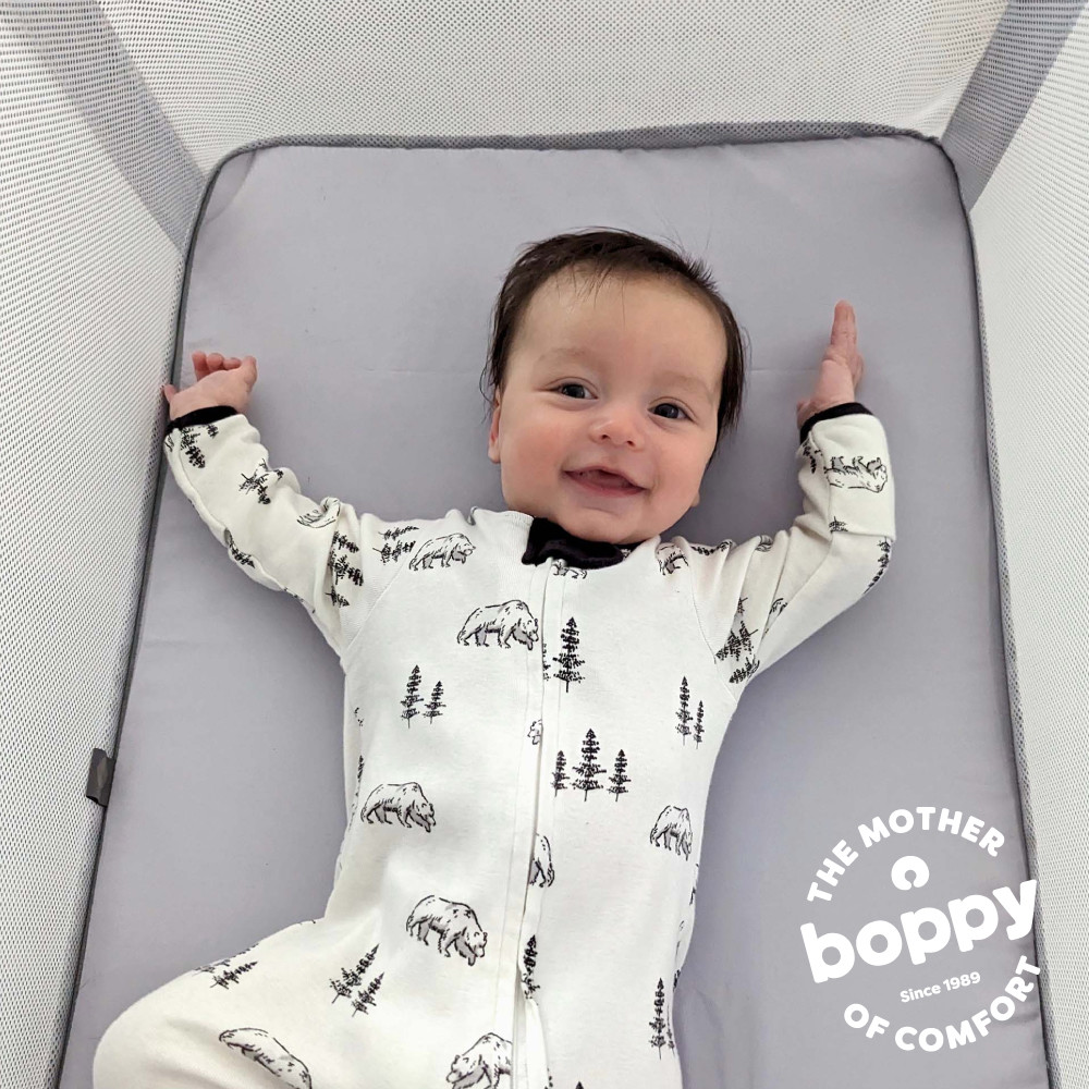 Boppy Bassinet - Gray Pick-Up Sticks.
