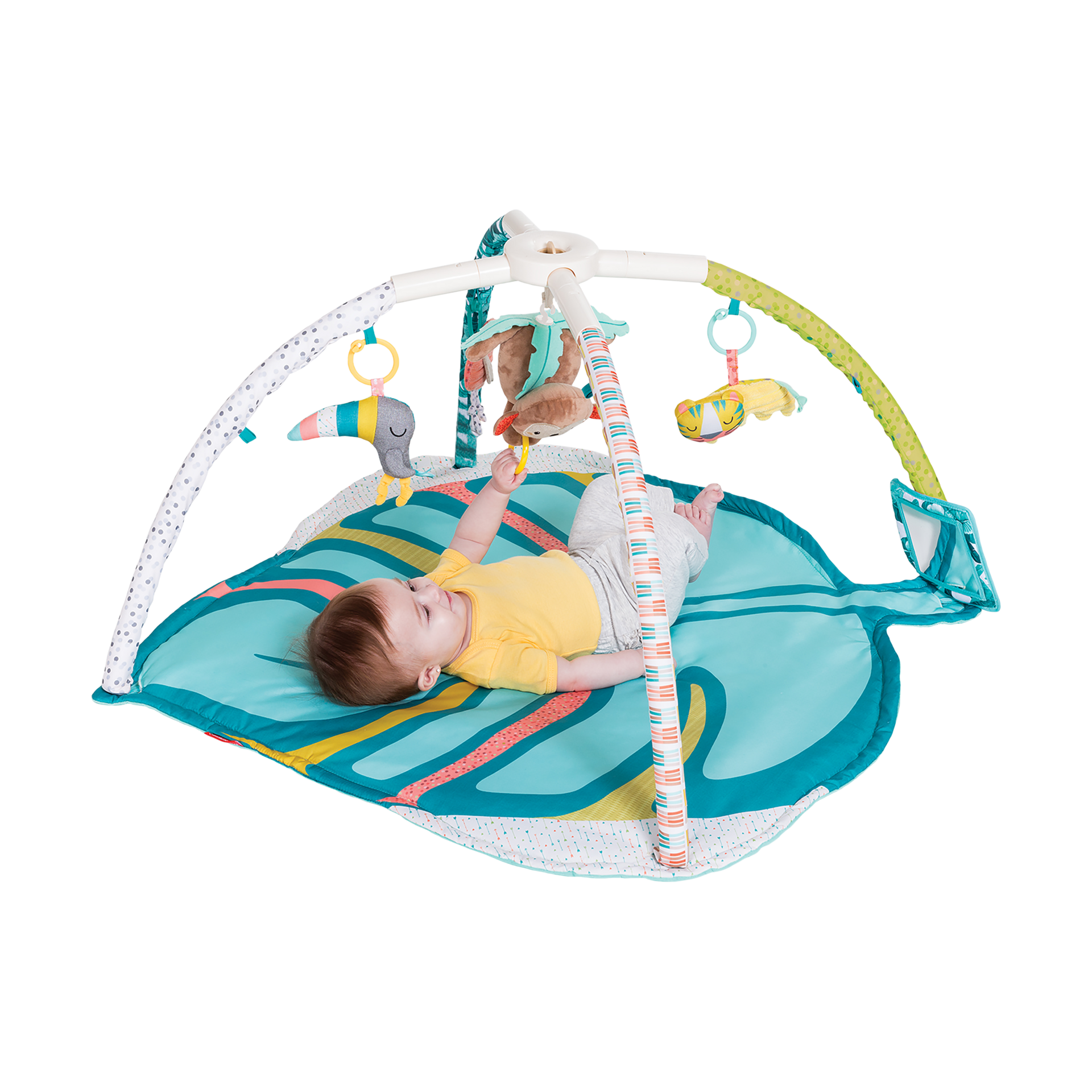Product Image 7.