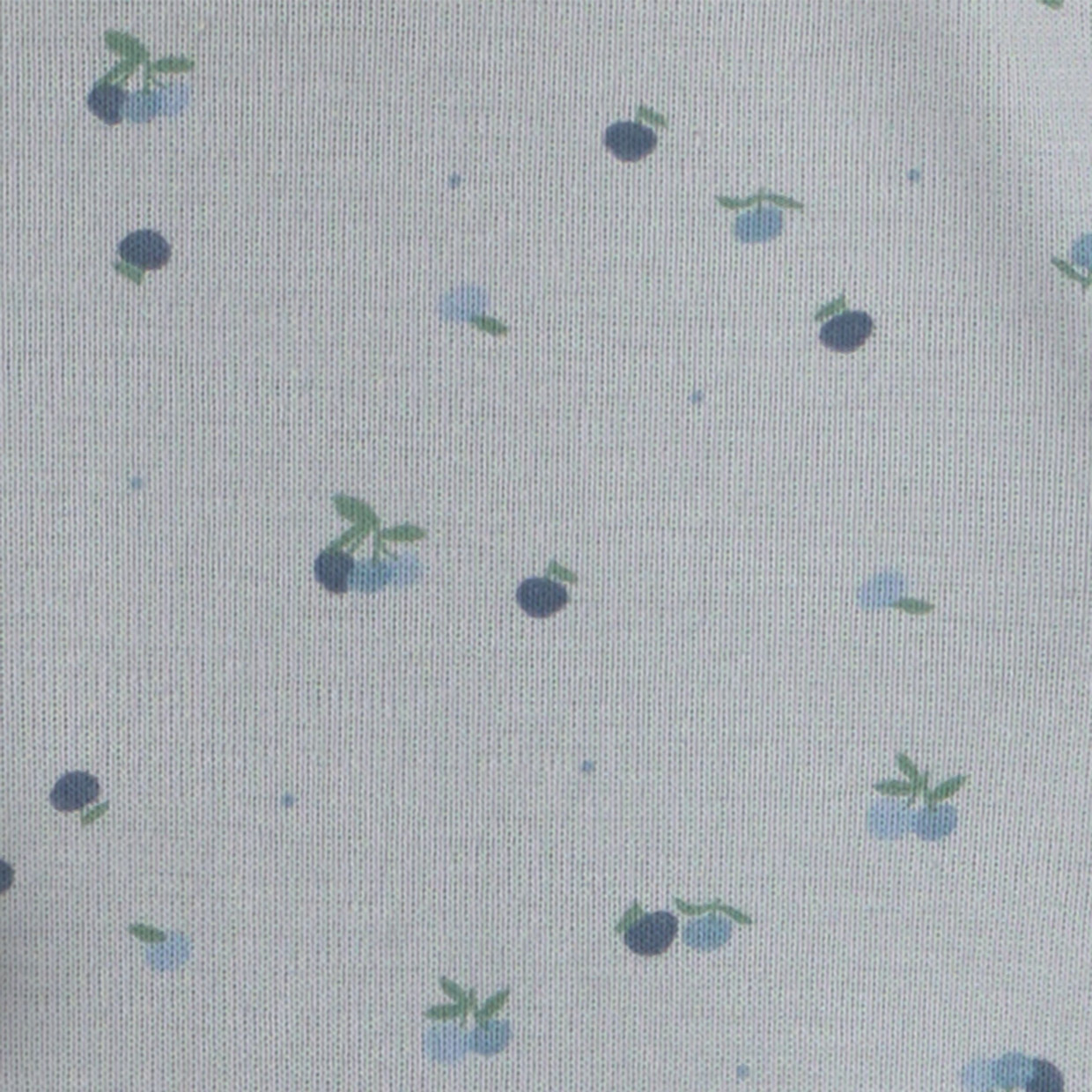 Carter's 3-Piece Bodysuit & Pant Gift Set - Blue/Ivory Blueberry, 6M.