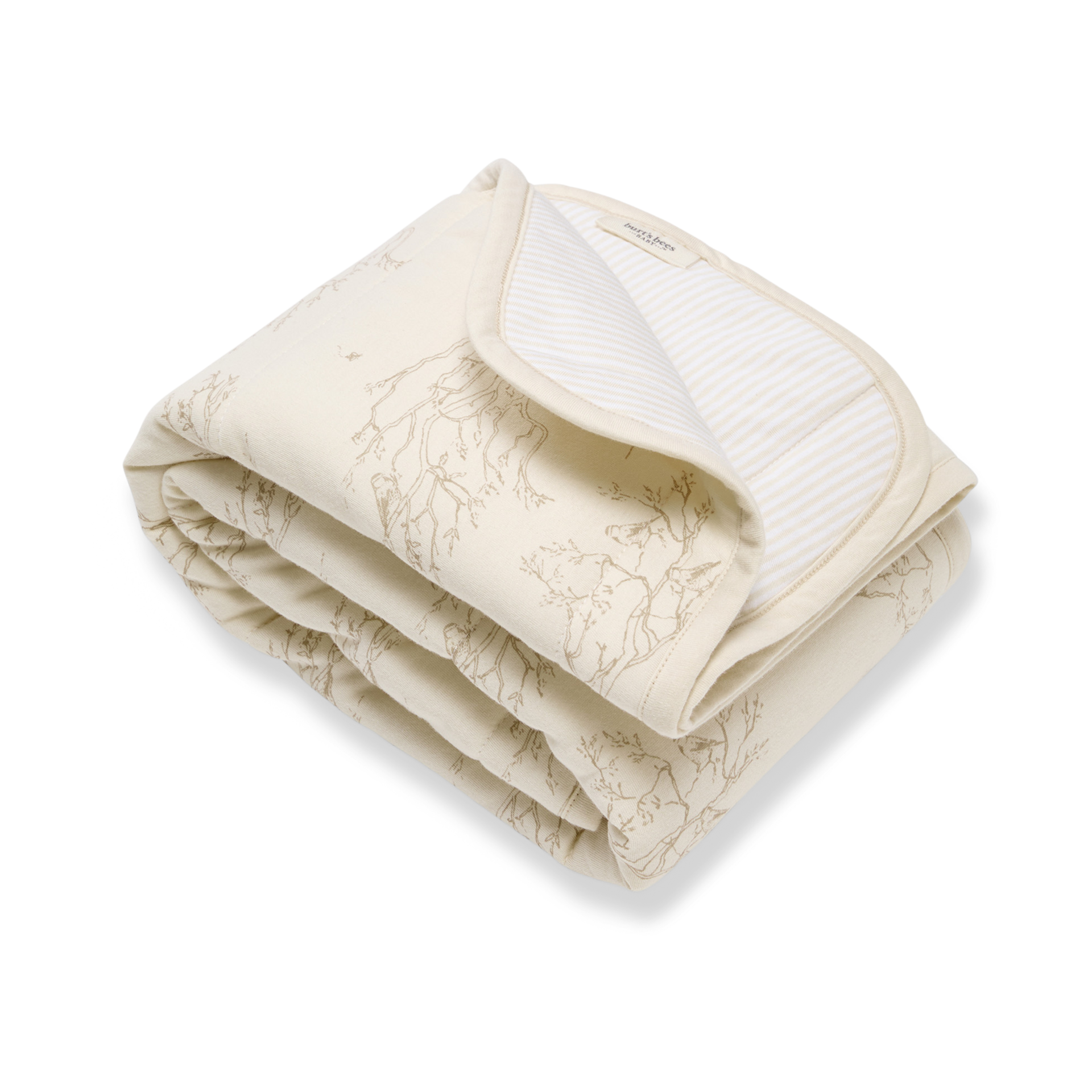 Thumbnail of Oat Branches