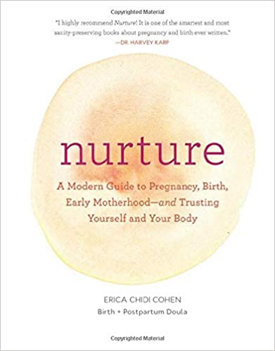 Nurture: A Modern Guide to Pregnancy, Birth, Early Motherhood. - $19.77.