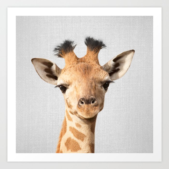 Gal Design Baby Giraffe.