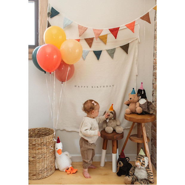 NovaEventCo Custom Birthday Banner.