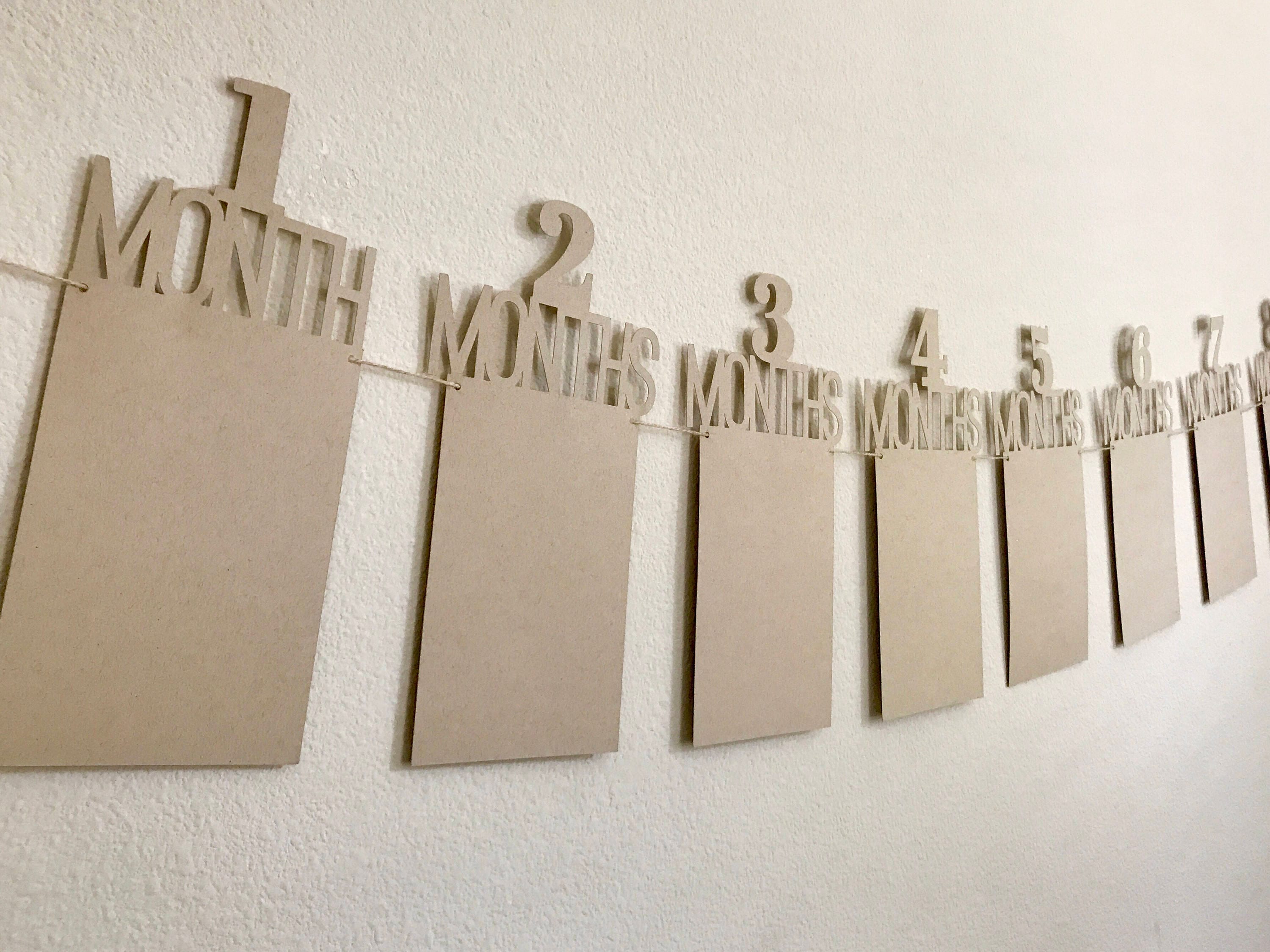 BlueberrySprinkles First Birthday Photo Banner.