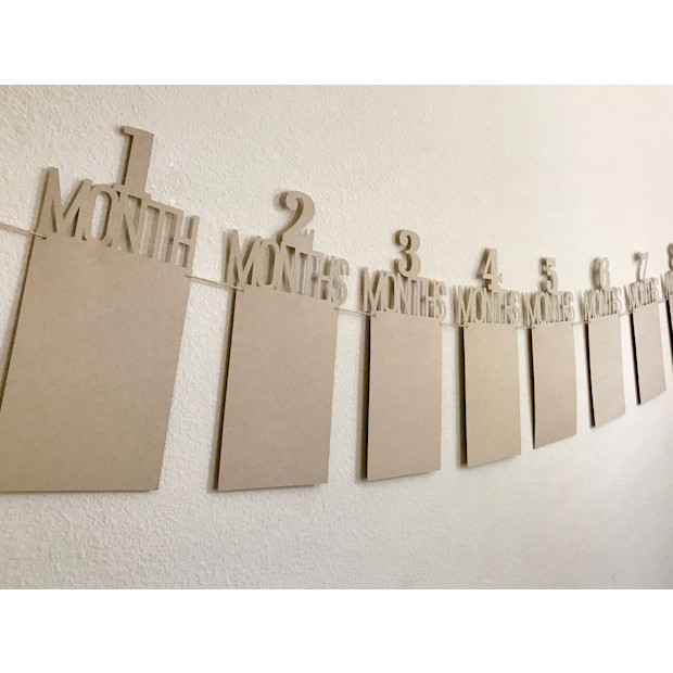 BlueberrySprinkles First Birthday Photo Banner.