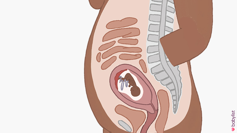18 Weeks Pregnant: Symptoms & Baby Development - Babylist