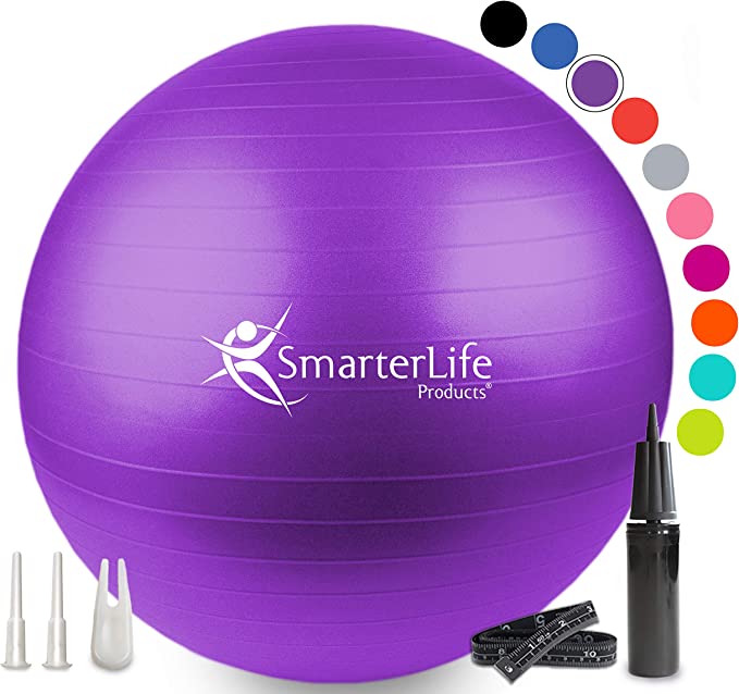 SmarterLife Products Exercise Ball.