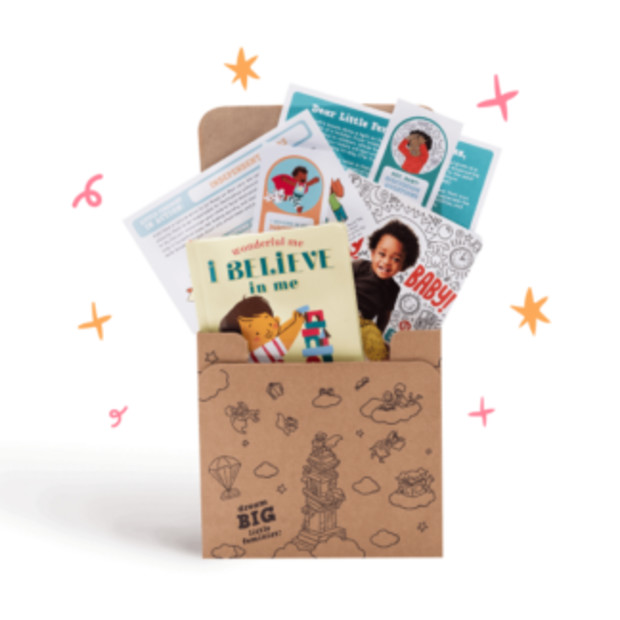 Little Feminist Baby & Toddler Book Box.