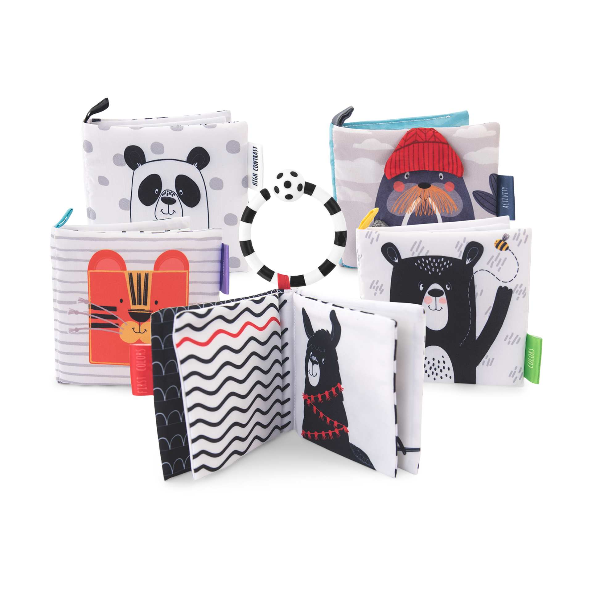 Sassy Smart Stages Soft Book Set.