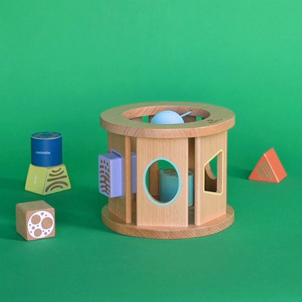 KiwiCo Biology Blocks Shape Sorter.