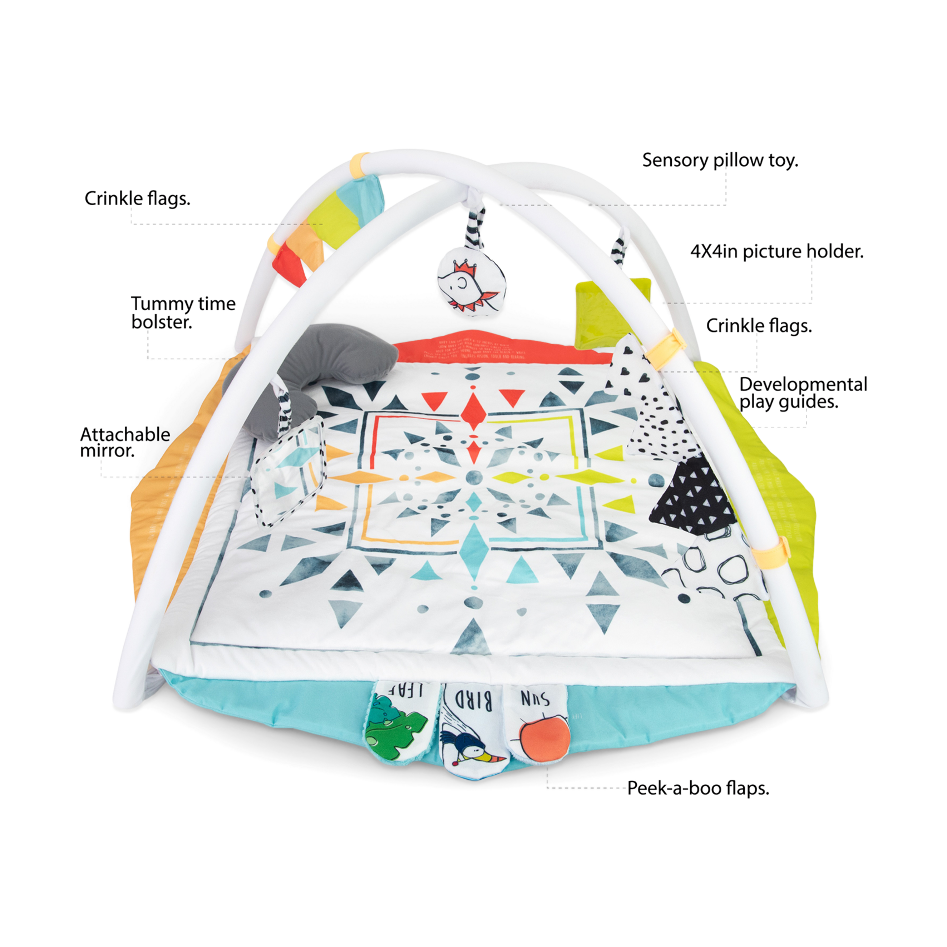 Sassy Hello Baby Play Gym.