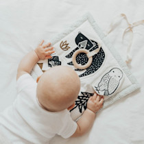 Thumbnail of Woodland