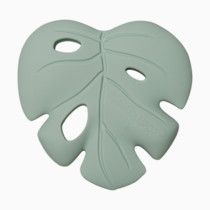 Thumbnail of Monstera Seafoam
