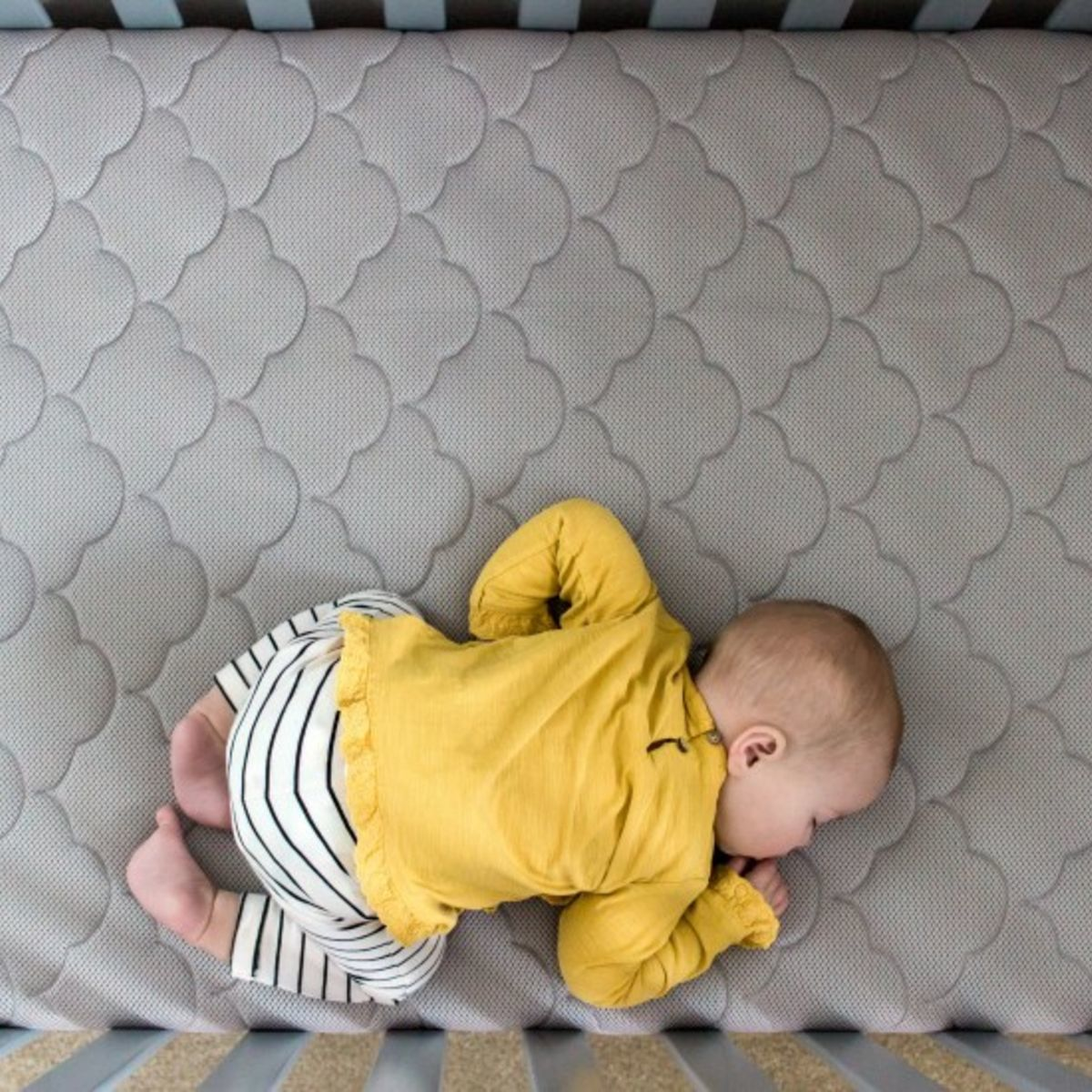 newton crib & toddler mattress