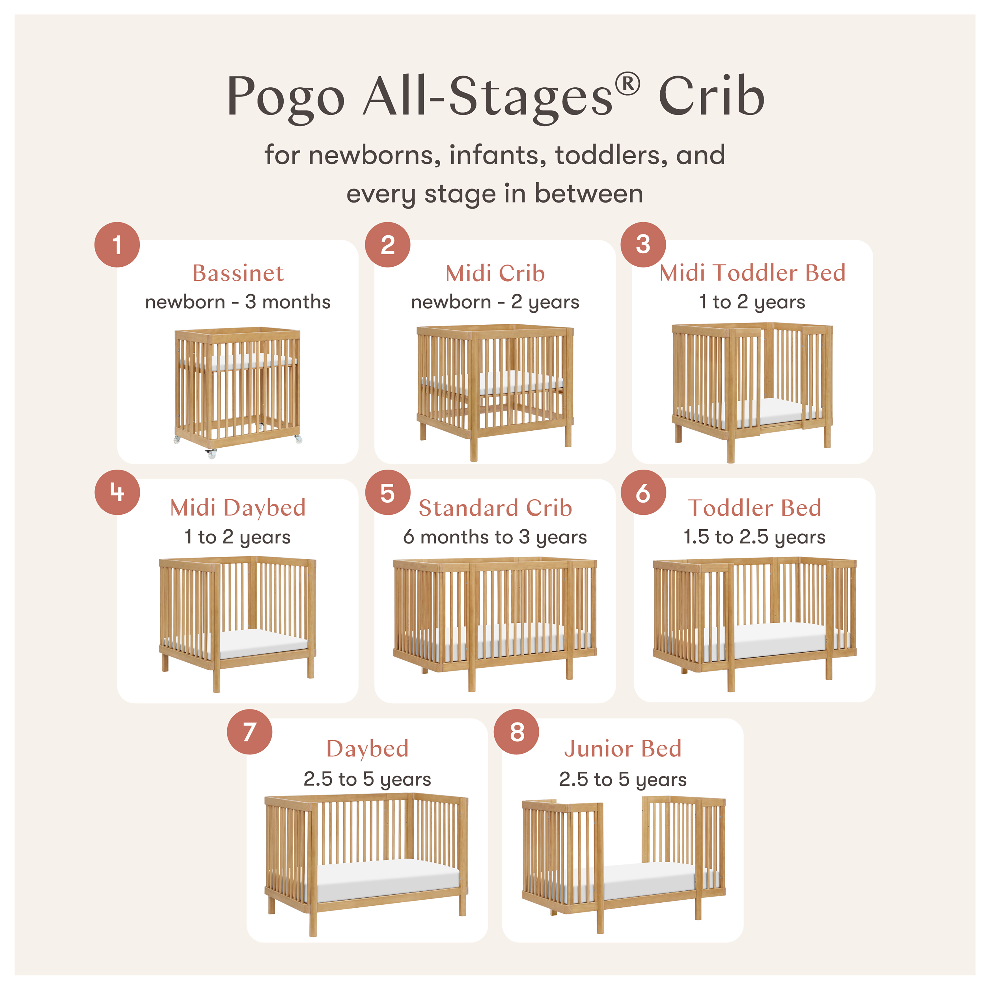 babyletto Pogo 8-in-1 Convertible Crib with All-Stages Conversion Kits - Honey.