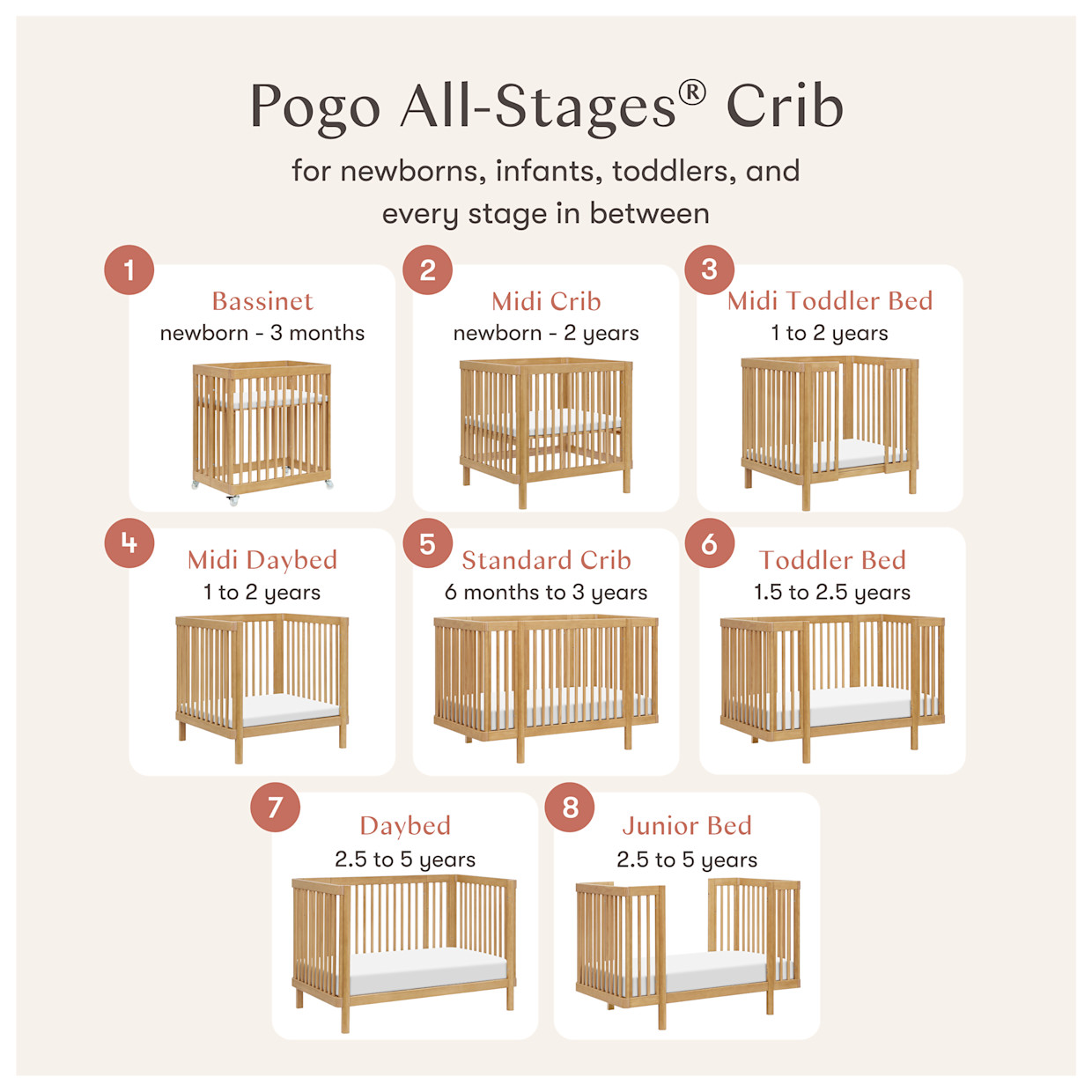 babyletto Pogo 8-in-1 Convertible Crib with All-Stages Conversion Kits - Honey.