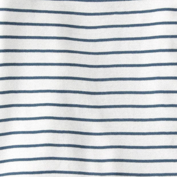 Carter's Little Planet Organic Cotton 2-Piece PJs - Blue Stripes, 9 M.