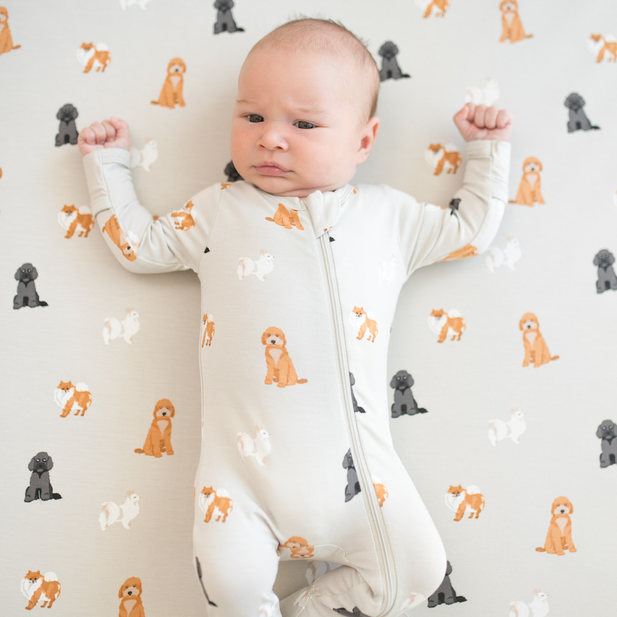 Kyte Baby Printed Zipper Footie - Fluffy Dog, 0 -3 M.