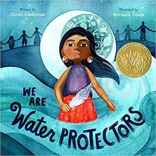 We Are Water Protectors - $14.38.