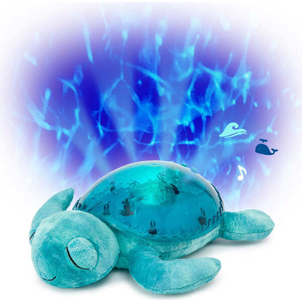 Cloud b Tranquil Turtle.
