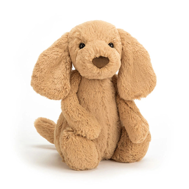 Jellycat Bashful Toffee Puppy.