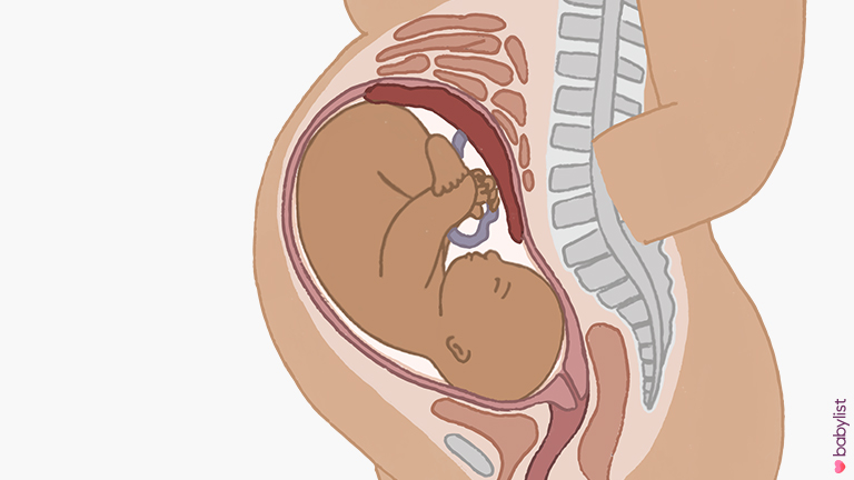 Pregnancy-Ultrasound-week-39