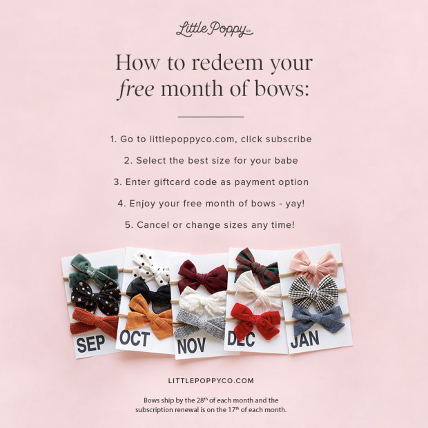 Little Poppy Co. Ribbon Headband (5 Pack) + Bow Subscription Gift Set - Assorted.