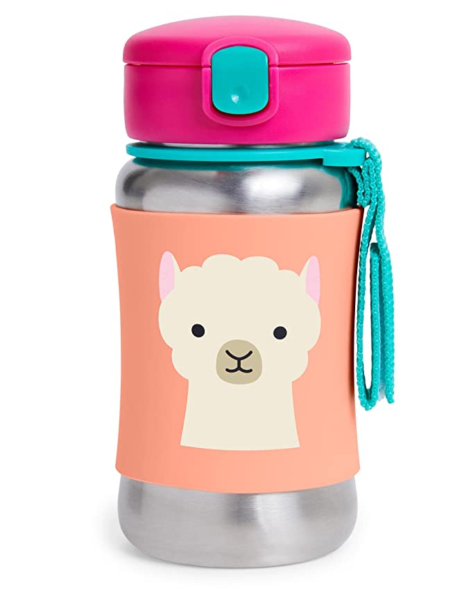 Skip Hop Toddler Sippy Cup - $17.99.