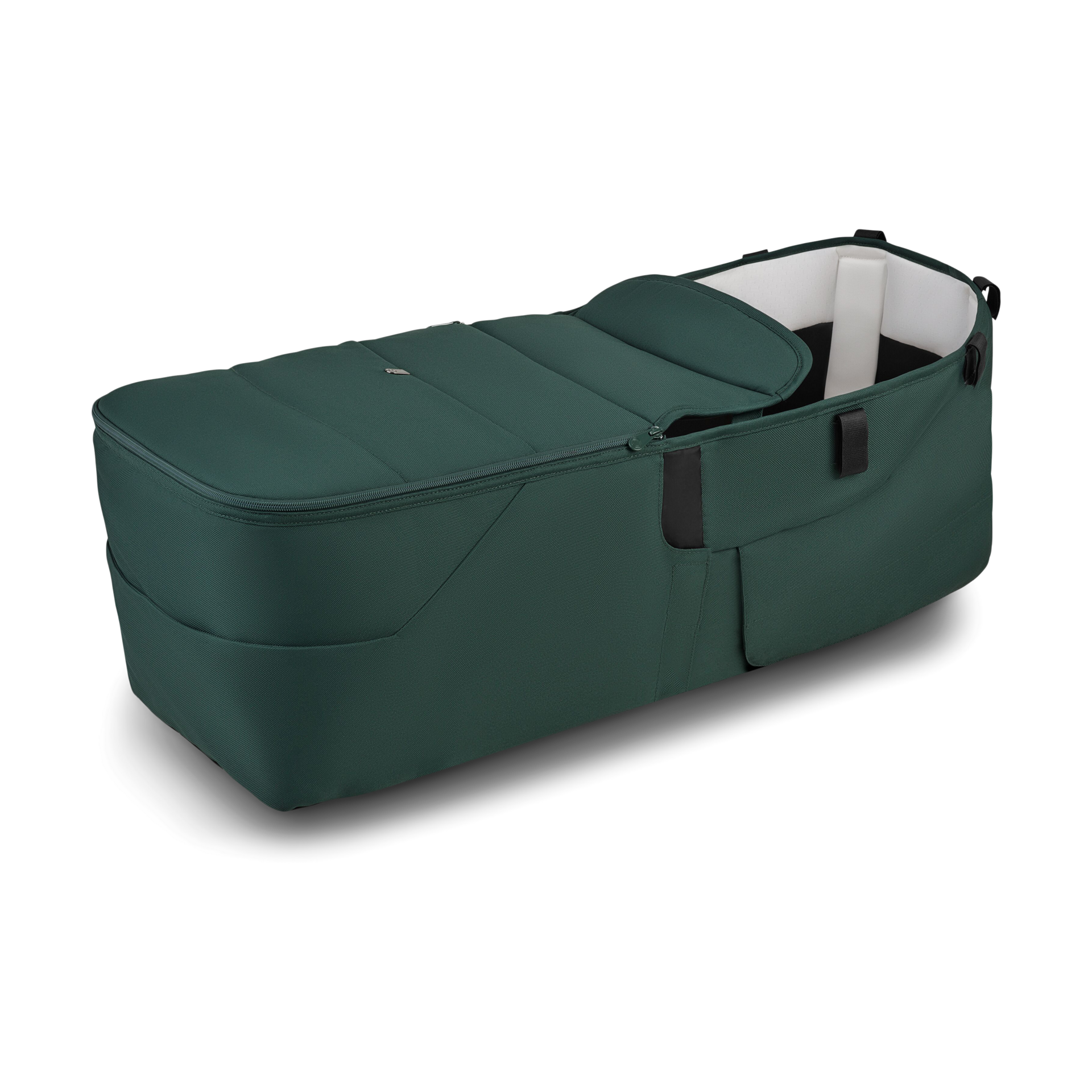 Thumbnail of Fern Green