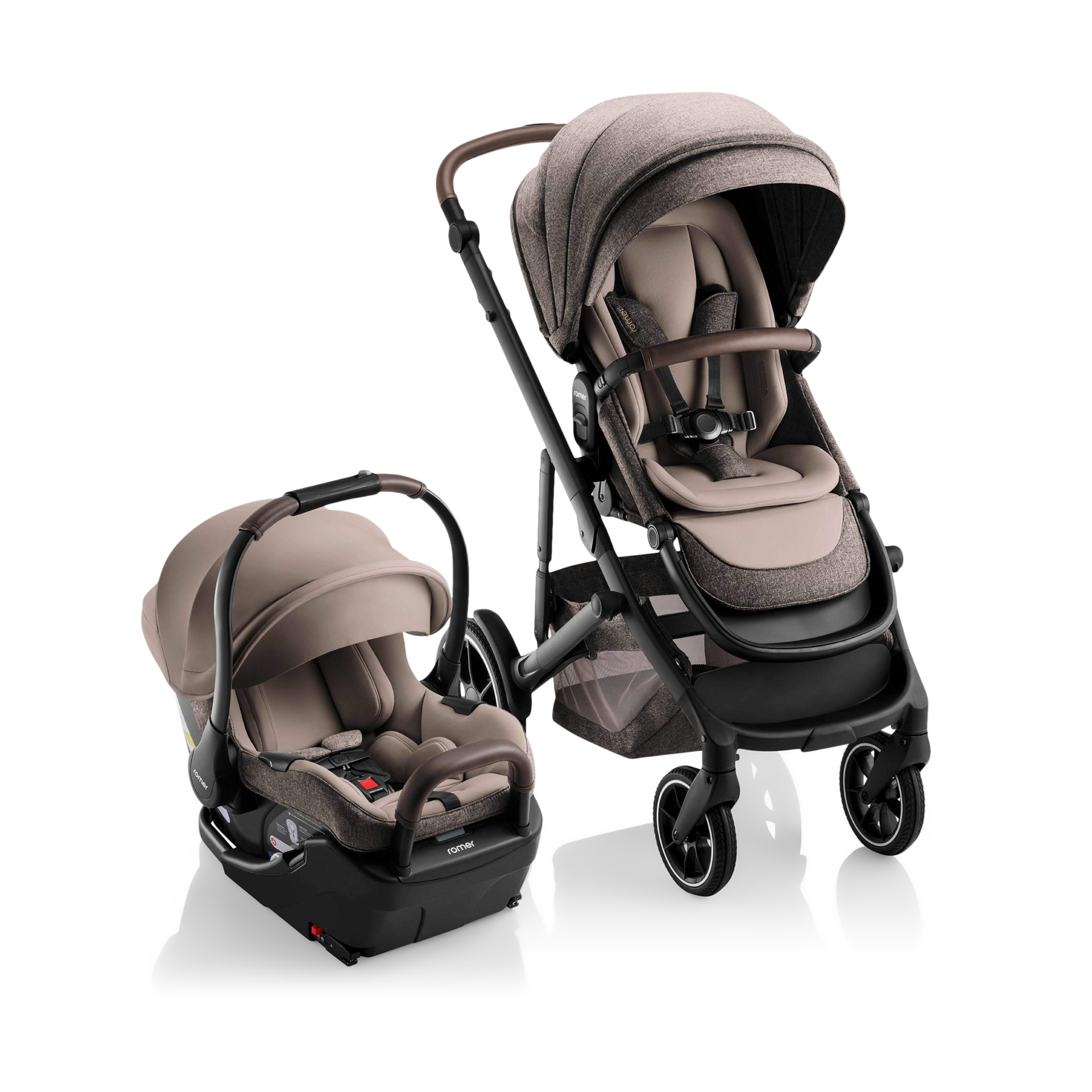 Thumbnail of Truffle