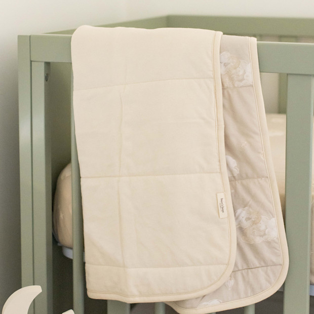 Burt's Bees Baby Organic Reversible Multipurse Blanket.