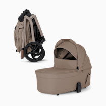 Thumbnail of Champagne