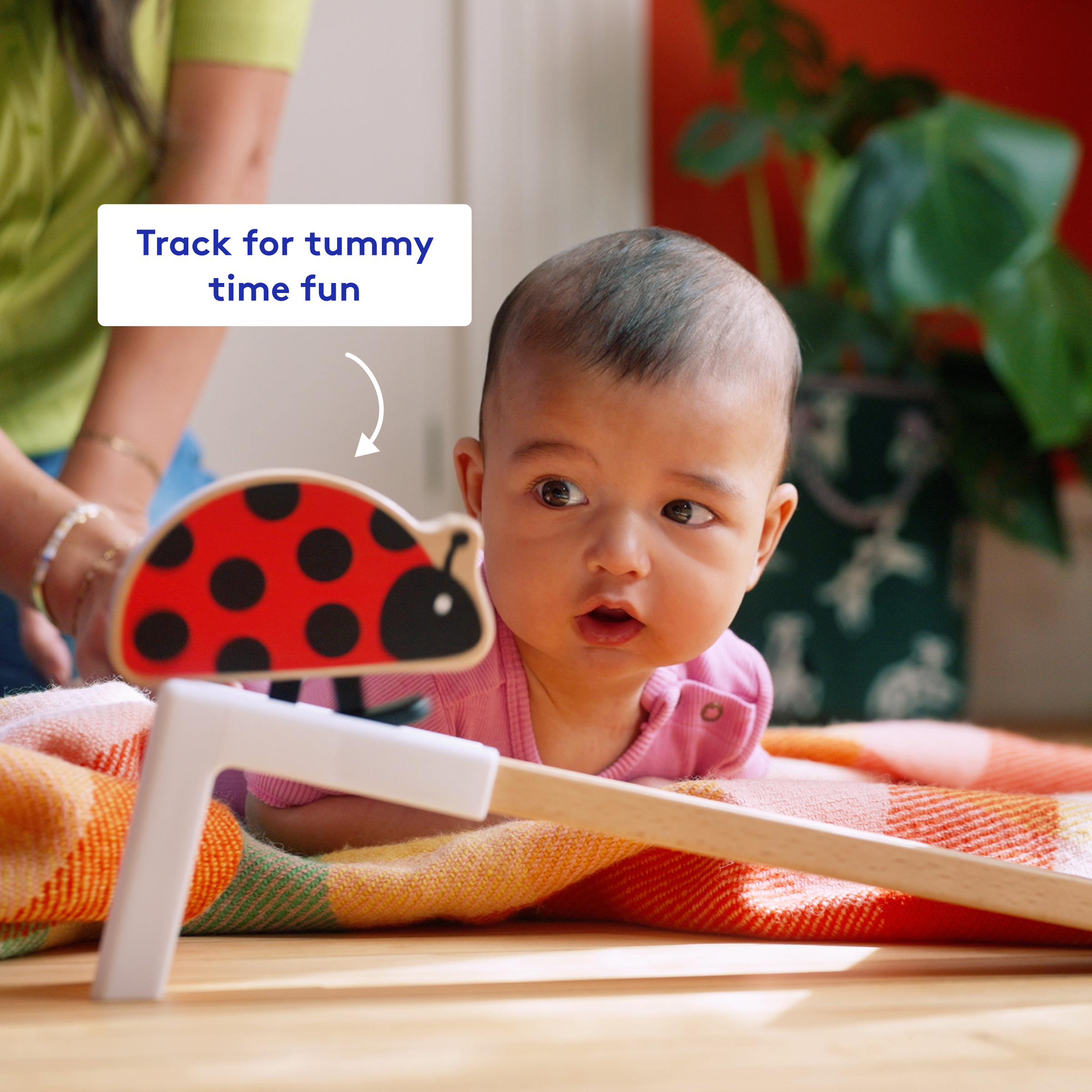 Product Image 5.