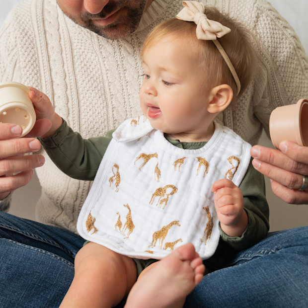 Aden + Anais Organic Muslin Snap Bibs (3 Pack).