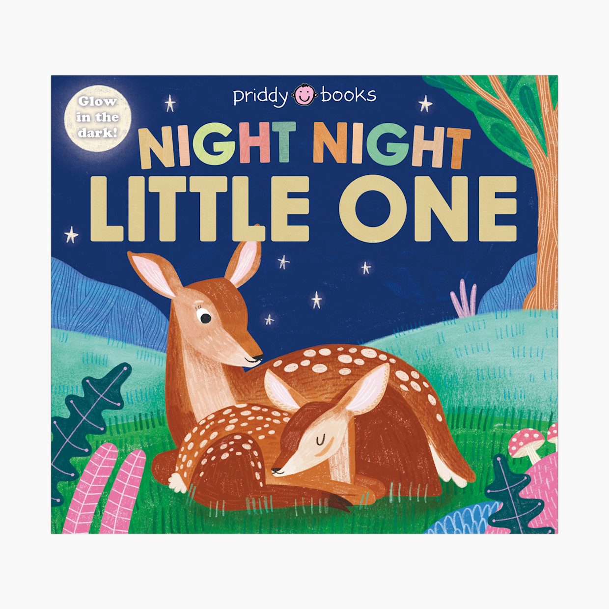 Macmillan Publishers Night Night Little One.