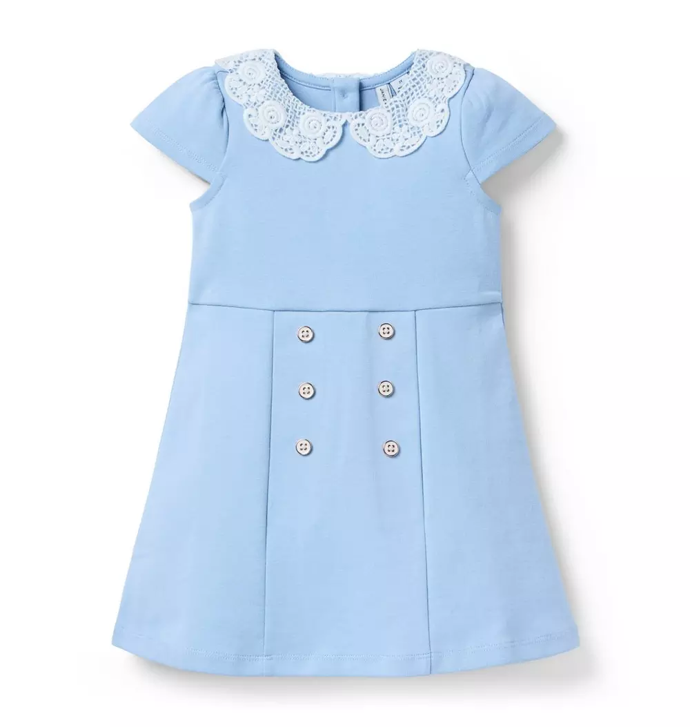 Lace Collar Ponte Dress.