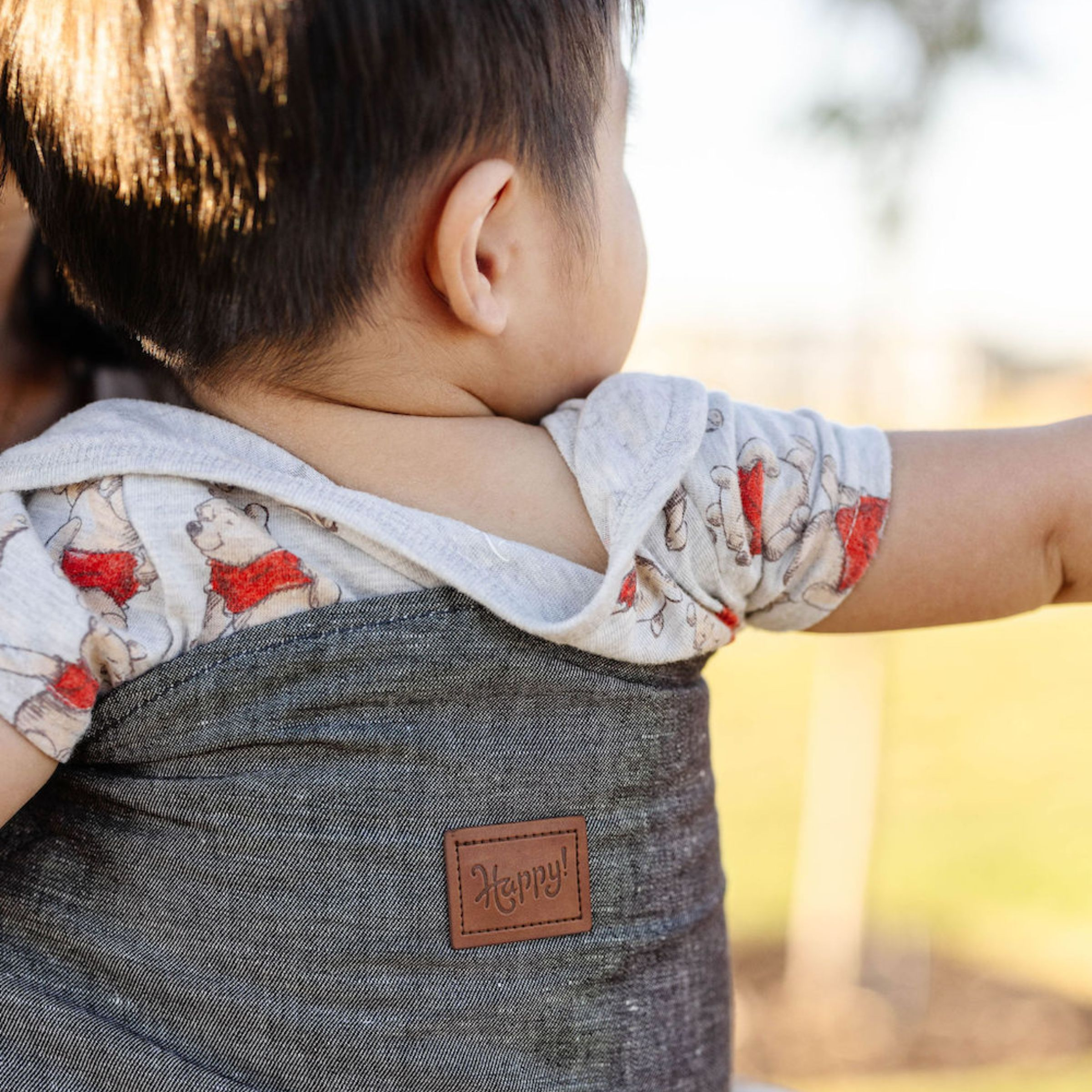Happy Baby Original Baby Carrier.