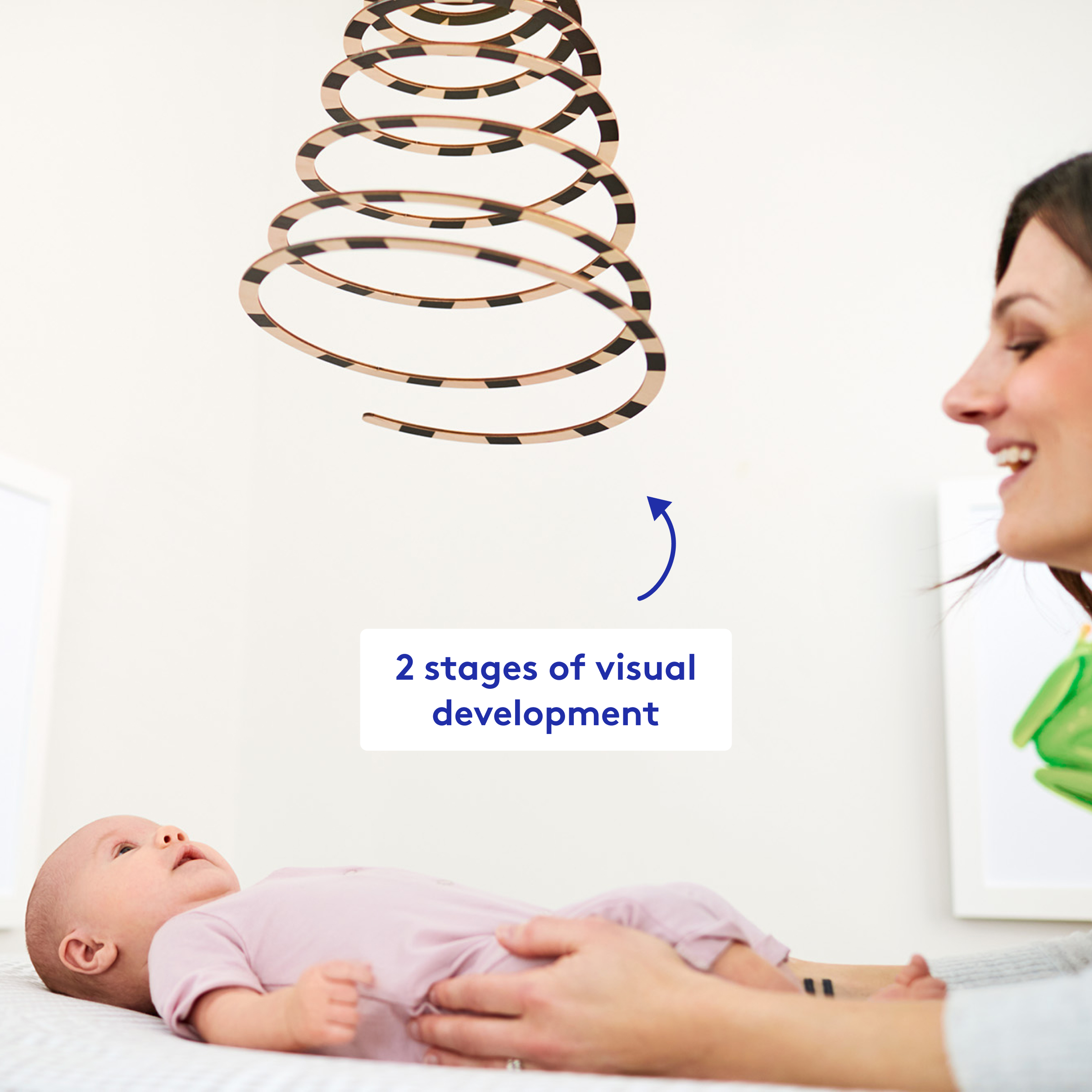 Product Image 6.