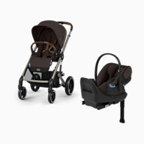 Thumbnail of Chocolate Brown