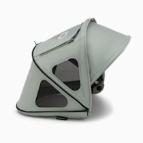 Thumbnail of Pine Green