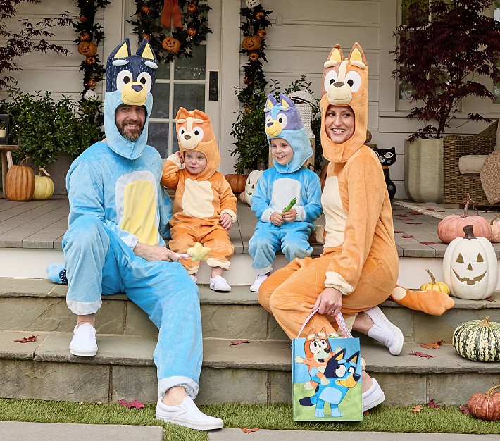 Pottery Barn Kids Bluey Family Costume Collection.