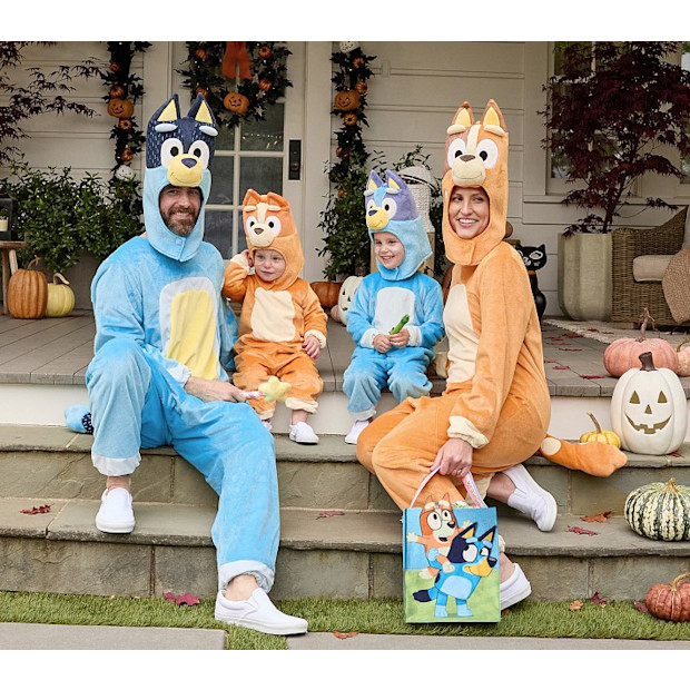 Pottery Barn Kids Bluey Family Costume Collection.