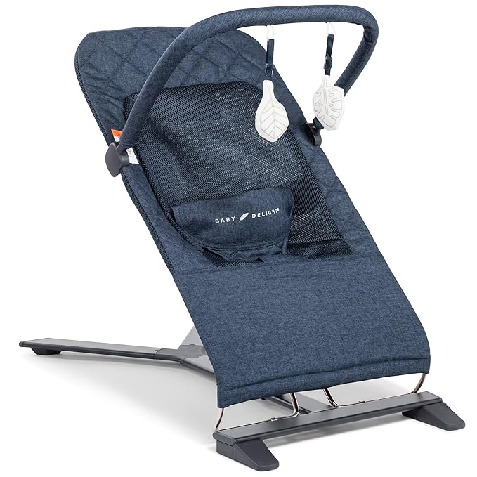 Baby Delight Alpine Deluxe Portable Bouncer - $55.99.