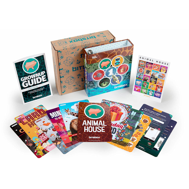 Bitsbox Basic Bitsbox.