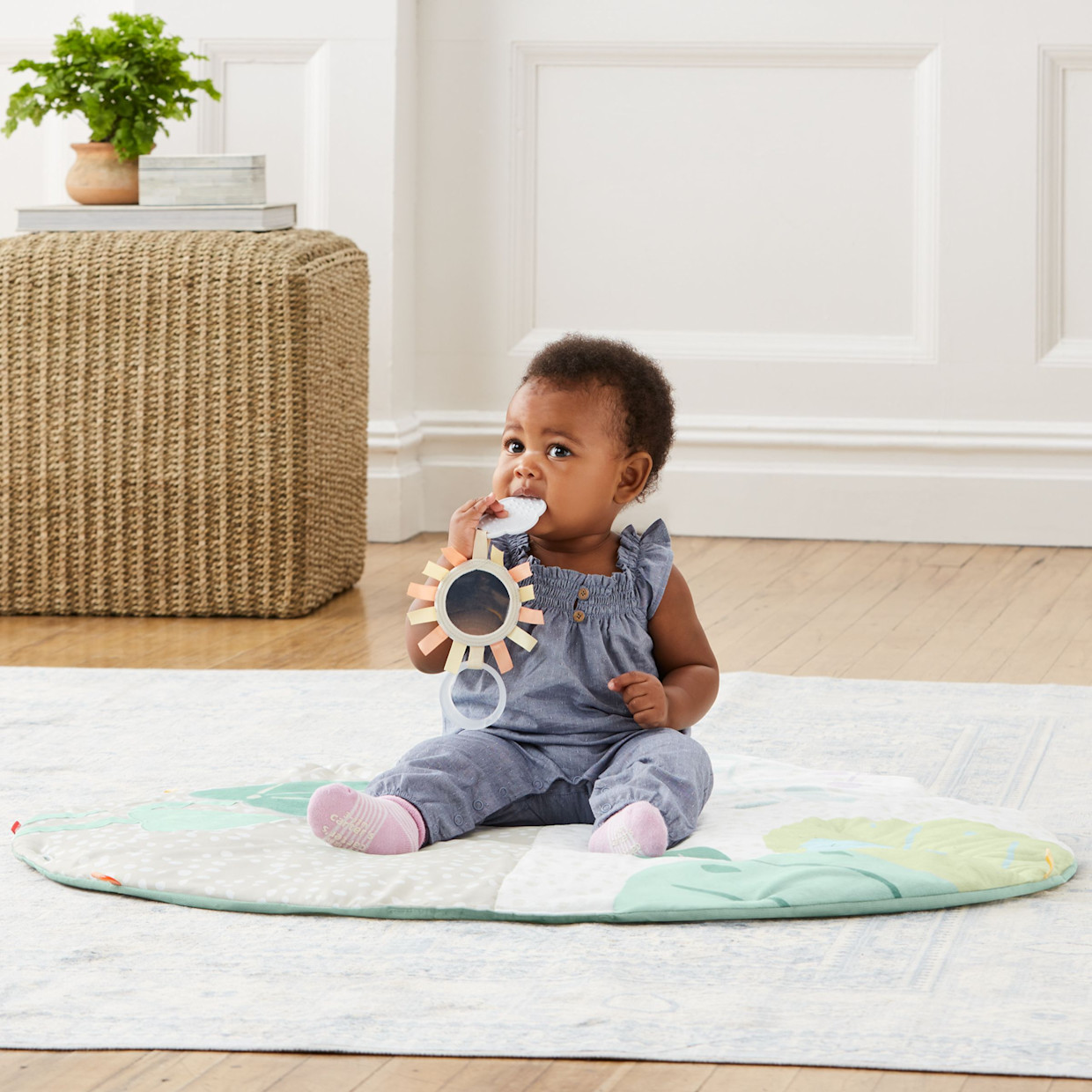 Skip Hop Garden Oasis Activity Gym.