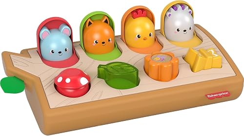 Fisher-Price Hide & Peek Pop-Up Animal-Themed Sensory Activity.